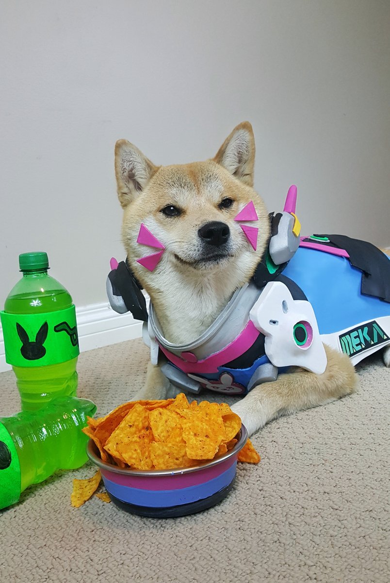 Сногсшибательный собакосплей Overwatch . - Изображение 6 Сногсшибательный собакосплей Overwatch . - Изображение 6